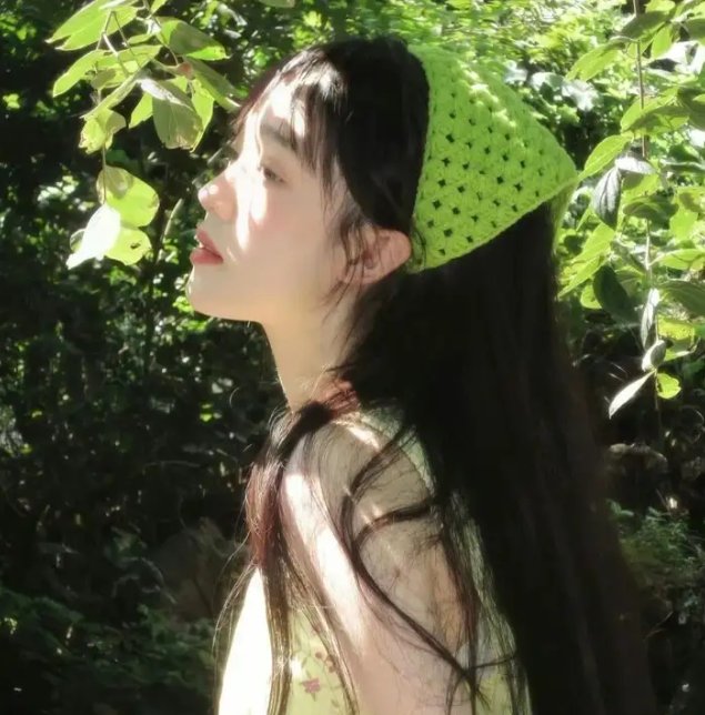森林泰山2
